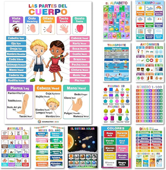 12 Spanish English Bilingual Educational Posters Water Proof Learning Chart for Preschool, Kindergarten, 1st Grade, Classroom Decoration, Alpabet, Alfabeto, Numbers, Seasons, Colors, Month of the
